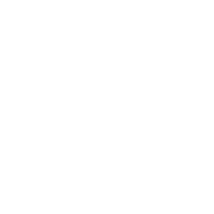 FTI