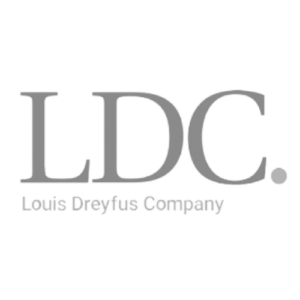 LDC Logo 01